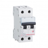 Автоматический выключатель TX³ 6000 - 6 кА - тип характеристики C - 2П - 230/400 В~ - 6 А - 2 модуля 404039