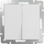 Выключатель  двухклавишный  (белый) WL01-SW-2G