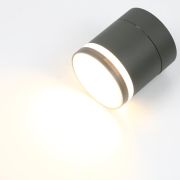 Спот на основании GWL-GX53-M-IP20 Одинарный Графит С Боковым рассеивателем Вихрь