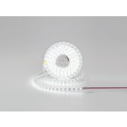 Светодиодная лента 12V IP65 холодное свечение, DSG360-12-W-65