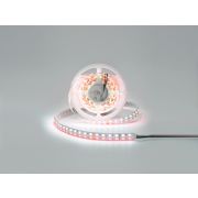 Светодиодная лента 28.8Вт 24В IP33 RGB, DSG5120-24-RGB+W-33
