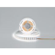 Светодиодная лента IP33 28.8W, DSG5120-24-W+WW-33